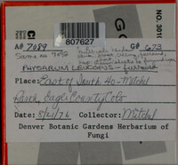 Image Associated With the Occurence